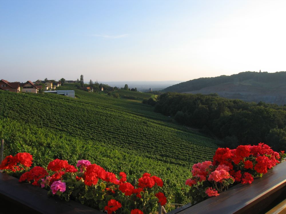 cps6_7228_Ausblick.jpg